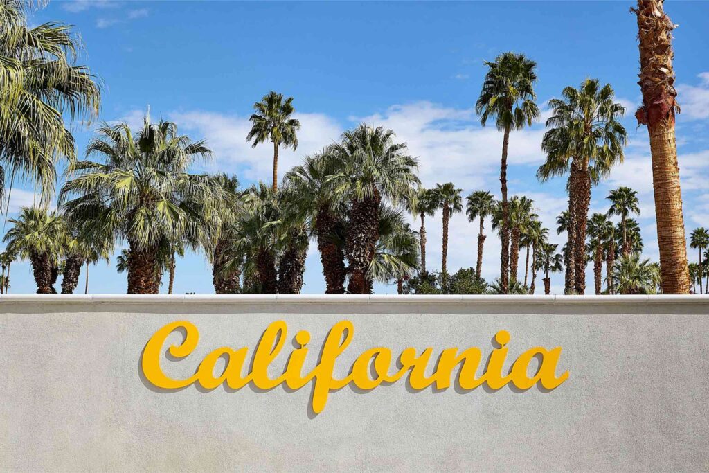The words California in yellow are stencilled on a wall, above the wall a view of palms and blue sky