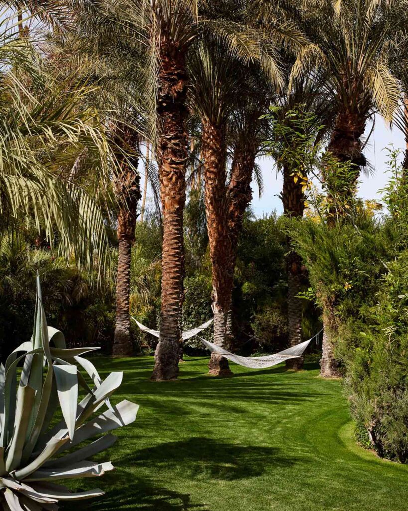 Manicured lawn with desert flora and palms, where two white hammocks hang