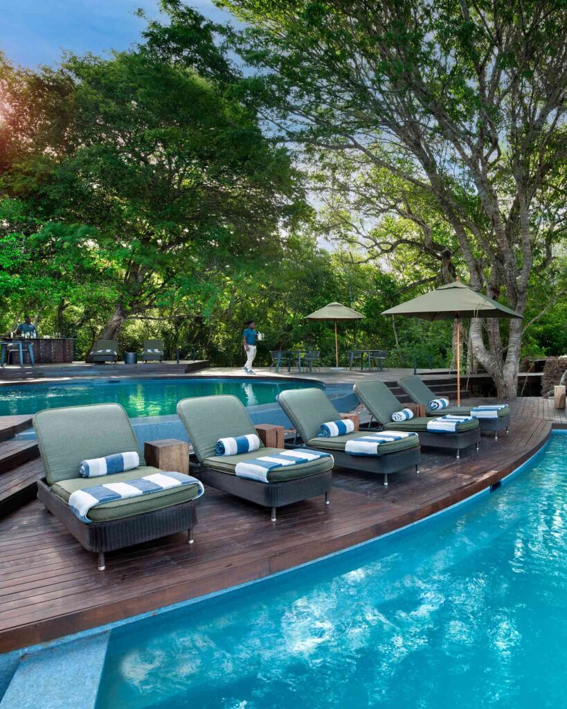Loungers by a curved swimming pool, with a forest in the background, at andBeyond Phinda Forest Lodge, KwaZulu-Natal, South Africa