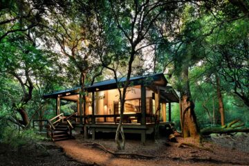 A private accommodation amidst the dense forests at andBeyond Phinda Forest Lodge, KwaZulu-Natal, South Africa