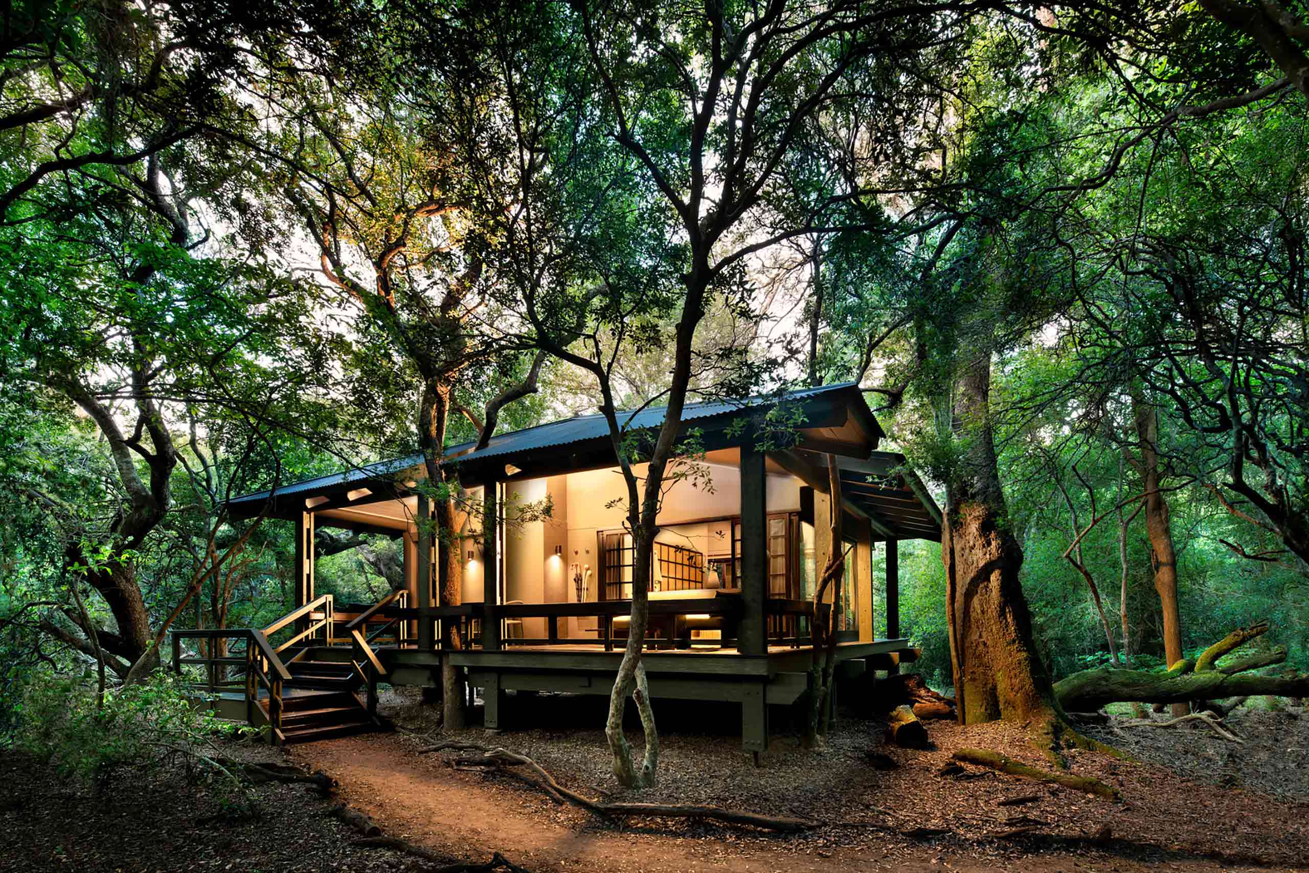 A private accommodation amidst the dense forests at andBeyond Phinda Forest Lodge, KwaZulu-Natal, South Africa