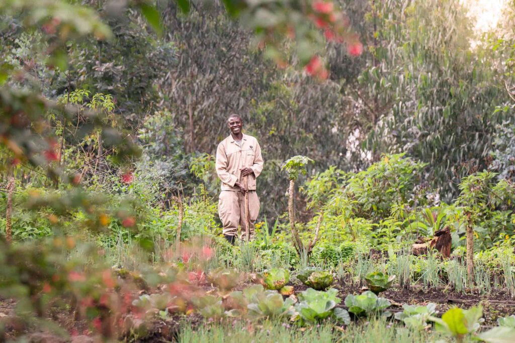 An African worker in a beige uniform stands in a lush vegetable garde and holds a gardening tool