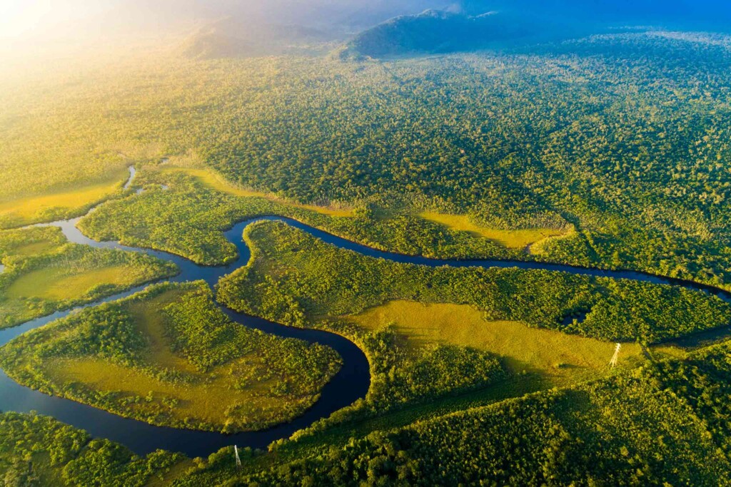 Birdseye view of the Amazon in Peru, flanked by lush rainforests – summer travel with Scott Dunn