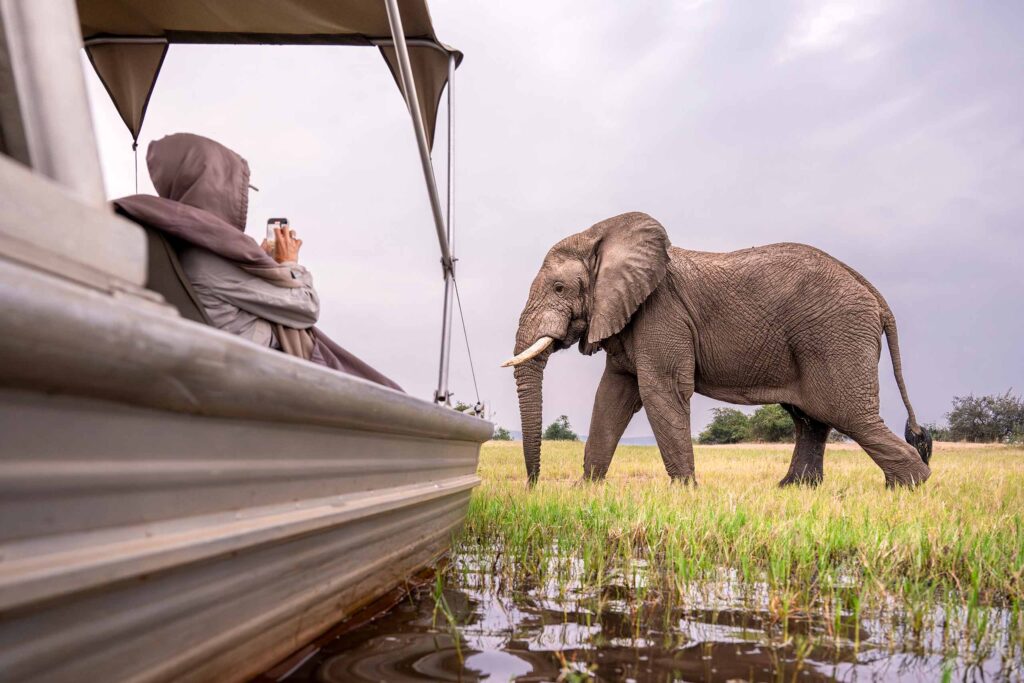 A tourist on a boat films an elephant wading through water during a stay at Wilderness Magashi Camp in Akagera National Park, Rwanda