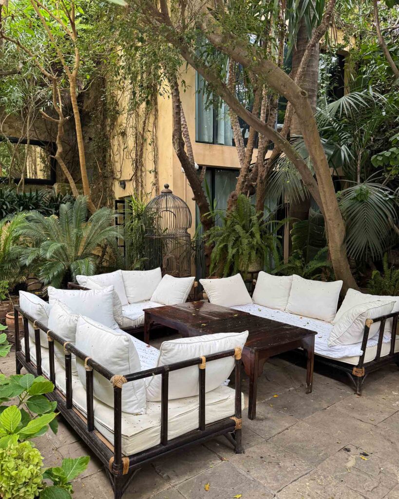 A shaded courtyard filled with tropical plants centres around low wooden seating with white cushions, creating a relaxed, communal lounge area.