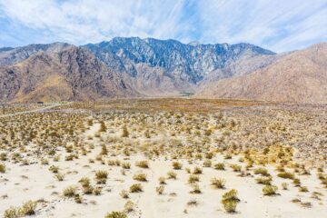 Panorama of the Coachella valley, with sandy desert and shrubs in the foreground and mountain range in the background