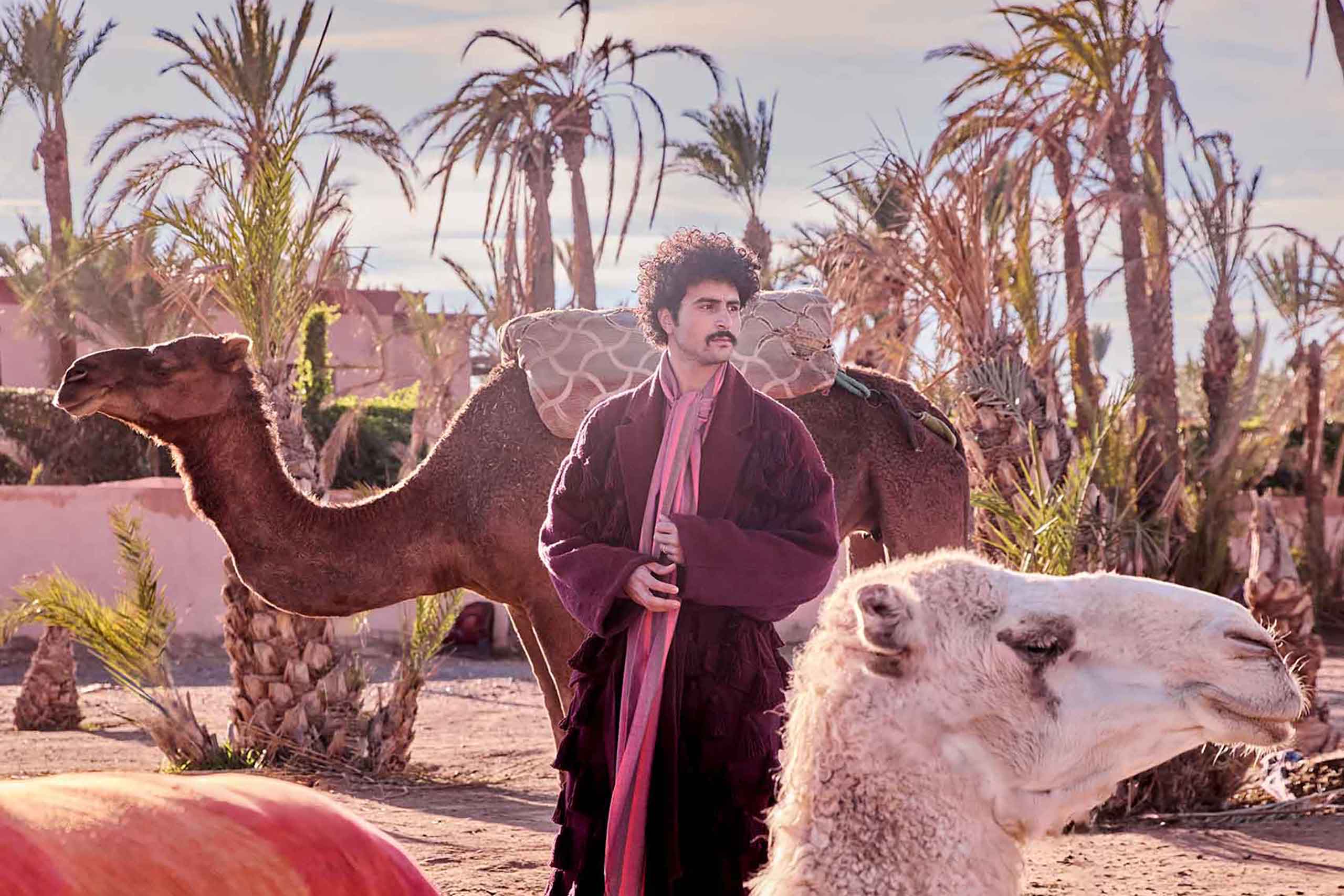 Amran Bennaji wearing a cotton scarf blouse while surrounded by palm trees and camels in Marrakech, Morocco. From the Awakened World issue