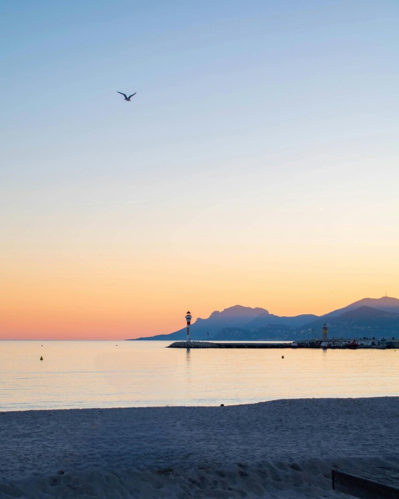 Sunset over the Croissette in Cannes, lighthouse in the distance, sea gulls flying overhead, a golden glow from the headland