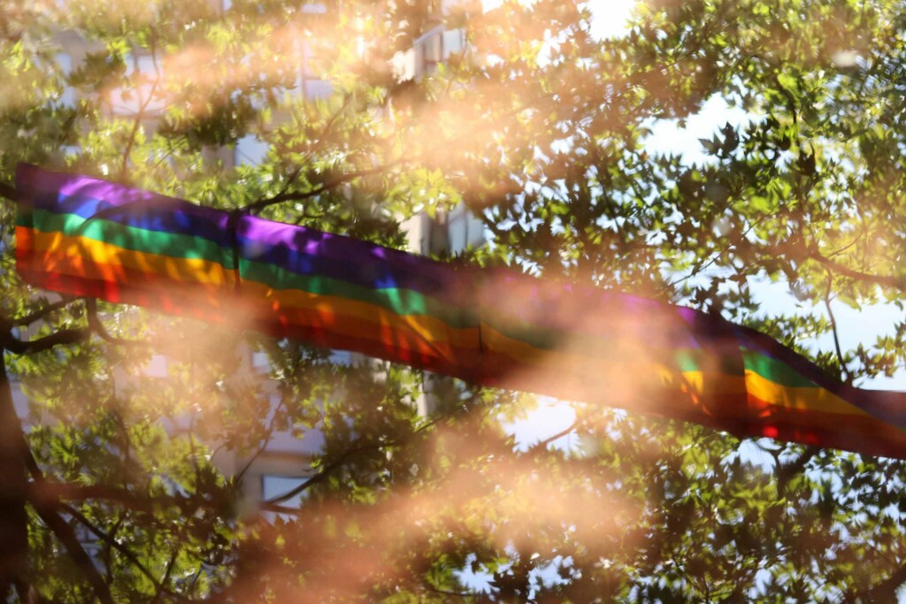 Four rainbow flags sown together create one giant Pride flag hanging in a tree, a symbol of Intersectional Amsterdam